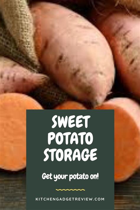 How to store sweet potatoes - Insert your fork 10 to 18 inches away from the plant stem. Loosen and turn the soil carefully so the potatoes you lift are not damaged. Most of the crop will be on the same level in the top 4 to 6 inches of the soil. If you know how deep the tubers are growing, you can use a garden spade to lift the entire hill.